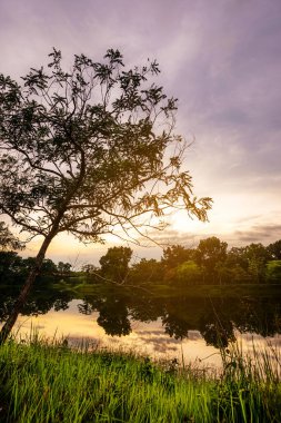 Doğa, nehir ve dağ manzarası akşam ışığı altında,