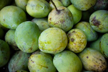 Yeşil ve tatlı mango.