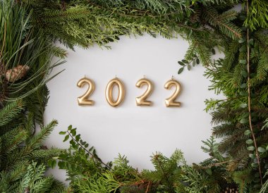 Ev yapımı beyaz telif alanı, kozalaklı brunch 'lar ve kozalaklı koniler güzelce düzenlenmiş düz koni. 2022 altın mumuyla minimalizm doğal sanatı kendin yap.