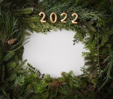 Ev yapımı beyaz telif alanı, kozalaklı brunch 'lar ve kozalaklı koniler güzelce düzenlenmiş düz koni. 2022 altın mumuyla minimalizm doğal sanatı kendin yap.