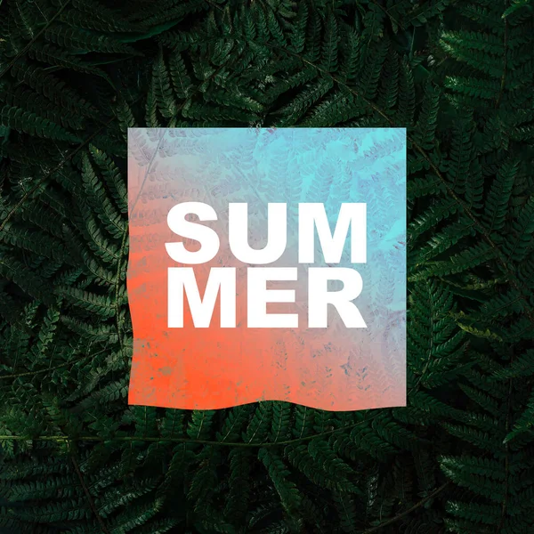 Summer Text Gradient Paper Card Note Creative Nature Layout Made — Stock Photo, Image