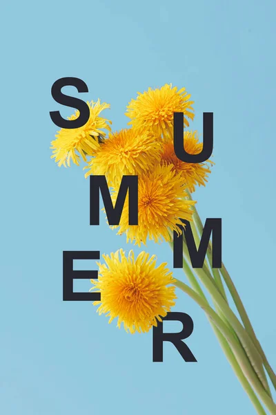 最小的创意布局与黄色花朵的夏季文字 春花怒放 色彩艳丽 蒲公英构图阳光构图 — 图库照片