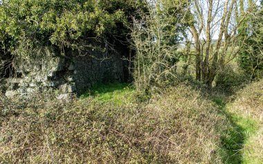 Gözcü Harabeleri, Kelt Dönemi, Gotik Binalar