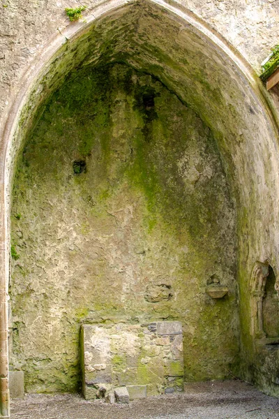 Harabelerde Bulunan Görkemli Bir Ortaçağ Kalesi Papazlar Salonu Yüzyıl Katedrali — Stok fotoğraf