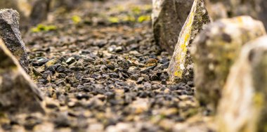 Taş bir çiti yol olarak ele geçirmek, taş bir yol.