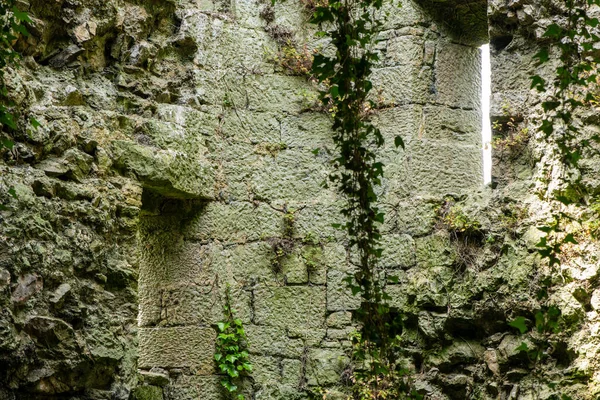 Kelt binasının doğasında bozulma, savunma kulesi. Kelt dönemi kuşatma kulesi Limerick, İrlanda, 17 Temmuz 2022