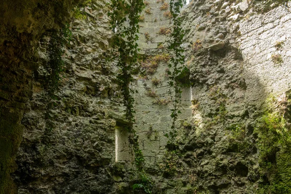 Kelt binasının doğasında bozulma, savunma kulesi. Kelt dönemi kuşatma kulesi Limerick, İrlanda, 17 Temmuz 2022