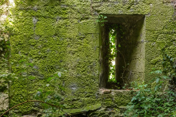Kelt binasının doğasında bozulma, savunma kulesi. Kelt dönemi kuşatma kulesi Limerick, İrlanda, 17 Temmuz 2022