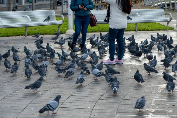People Pigeons Urban Promenade Surrounded Pigeons — ストック写真