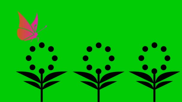 Vídeo Animación Fondo Verde Mariposa Volando Flor — Vídeo de stock