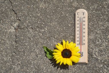 Beton zemindeki termometre yüksek ateşi gösteriyor. Yaz sıcaklığı kavramı