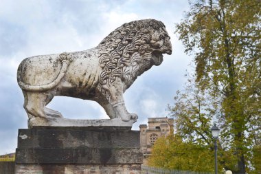 Lucca, Toskana, İtalya 'da antik aslan heykeli