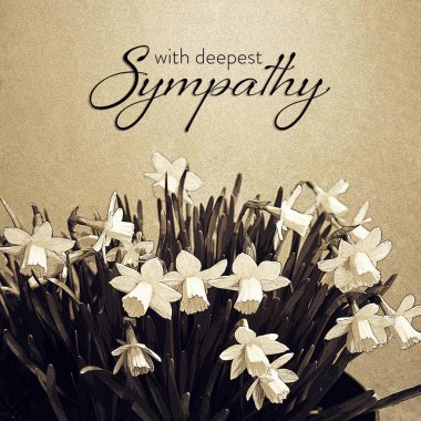 Nergis resimli sempati kartı