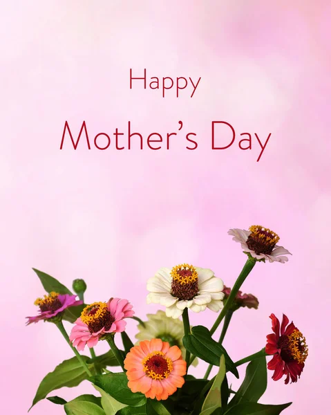 Feliz Cartão Dia Das Mães Com Monte Flores Zinnia Fundo — Fotografia de Stock