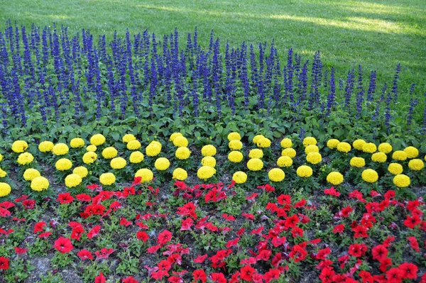Flowers Bundek Park Zagreb Croatia — Stockfoto