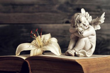 Melek ve nilüfer çiçeği açık bir kitapta