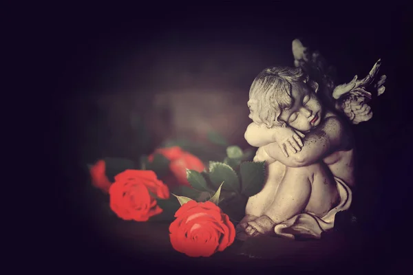 Koyu arkaplanda melek koruyucu ve güller  