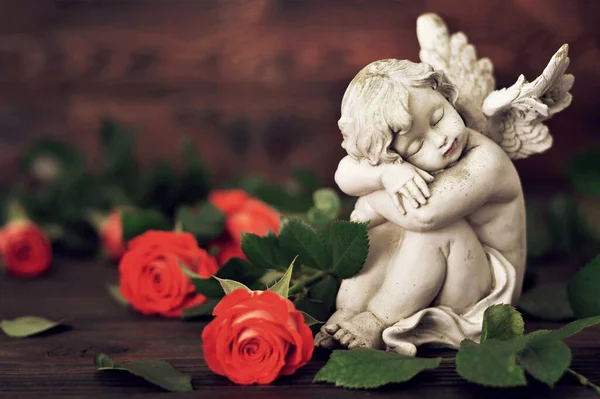 Φύλακας Άγγελος Και Τριαντάφυλλα Σκούρο Φόντο — Φωτογραφία Αρχείου