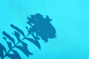 Leaf and flower shadows on a blue fabric background 