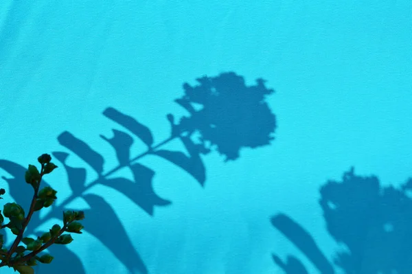 Leaf Shadows Blue Fabric Background —  Fotos de Stock