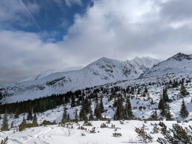 Kış zamanı Tatra Atlıları. Beyaz karla kaplı tepeler, soğuk kış dağları manzarası. Kasprowy Wierch, High Tatra, Polonya, Avrupa.