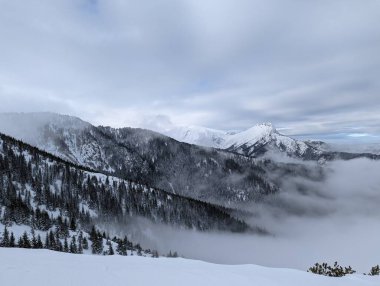 Kış zamanı Tatra dağları. Beyaz karla kaplı tepeler, soğuk kış dağları manzarası. Kasprowy Wierch, High Tatra, Polonya, Avrupa.