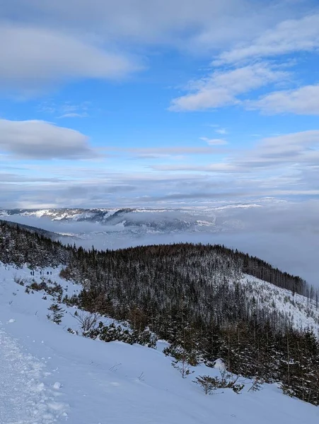 Tátrai Hegyek Télen Kilátás Fehér Hófödte Csúcsokra Fagyos Téli Hegyekre — Stock Fotó