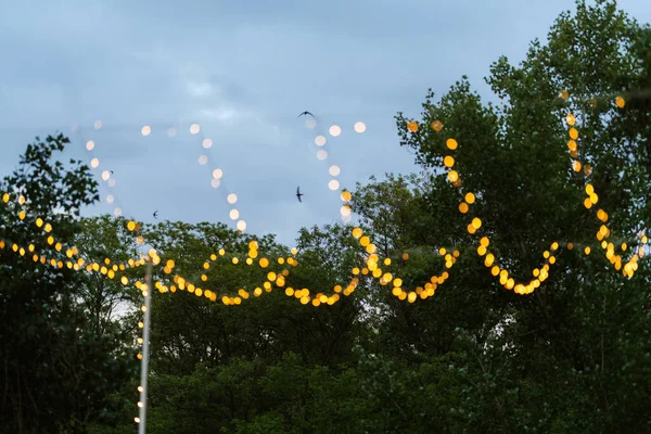 Ampoules Chaudes Atmosphériques Enveloppées Dans Des Guirlandes Pour Décorer Les — Photo