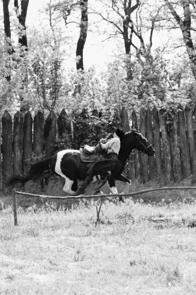 Zaporoże Kozacy Armii Zaporoża Strojach Narodowych Koniach — Zdjęcie stockowe