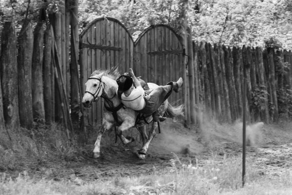 Zaporozhye Cossacks from the Zaporozhye army in national costumes on horseback