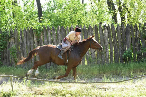 Zaporozhye Kosacker Från Zaporozhye Armén Nationella Kostymer Hästryggen — Stockfoto