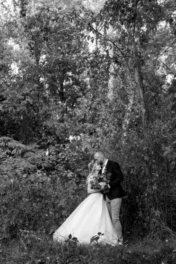 Gelin ve damadın yürüyüşü Ekimde sonbahar ormanında