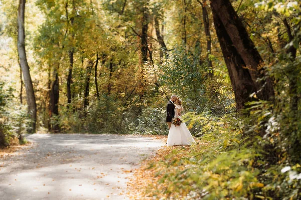 Walk Bride Groom Autumn Forest October — Stock Photo, Image