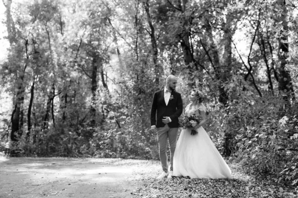 Walk Bride Groom Autumn Forest October — Stock Photo, Image