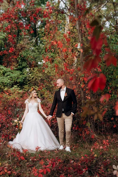 Passeggiata Degli Sposi Attraverso Foresta Autunnale Nel Mese Ottobre — Foto Stock