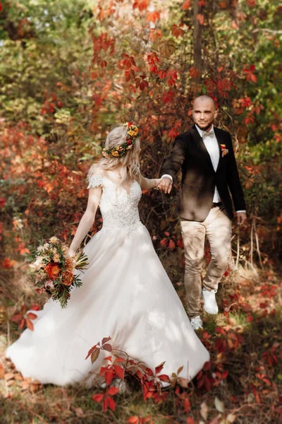 Paseo Los Novios Por Bosque Otoñal Octubre —  Fotos de Stock