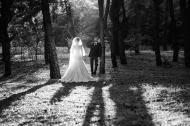 Gelin ve damadın yürüyüşü Ekimde sonbahar ormanında