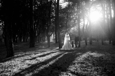 Gelin ve damadın yürüyüşü Ekimde sonbahar ormanında