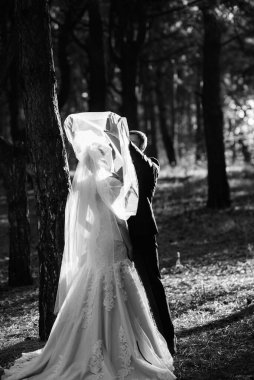 Gelin ve damadın yürüyüşü Ekimde sonbahar ormanında