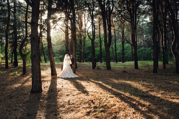 Procházka Nevěsty Ženicha Podzimním Lesem Říjnu — Stock fotografie