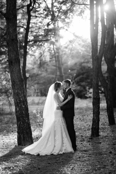 Promenad Bruden Och Brudgummen Genom Höstskogen Oktober — Stockfoto