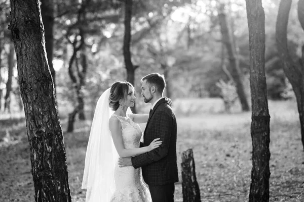 Promenad Bruden Och Brudgummen Genom Höstskogen Oktober — Stockfoto