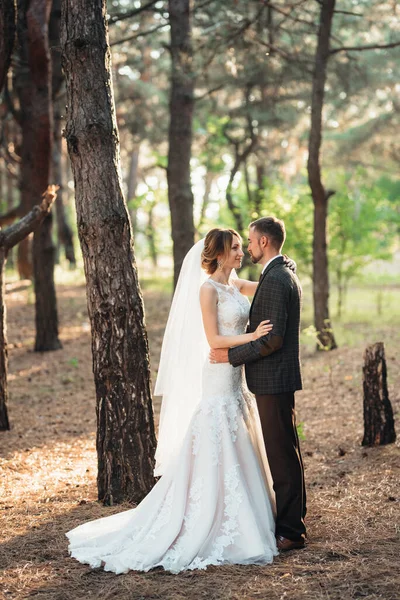 Walk Bride Groom Autumn Forest October — Stock Photo, Image