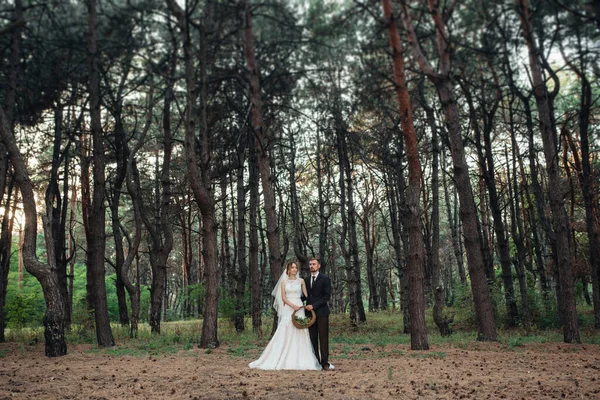 Paseo Los Novios Por Bosque Otoñal Octubre —  Fotos de Stock