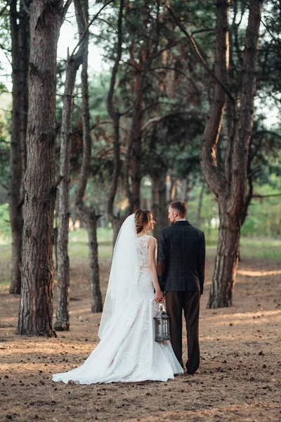 Paseo Los Novios Por Bosque Otoñal Octubre —  Fotos de Stock