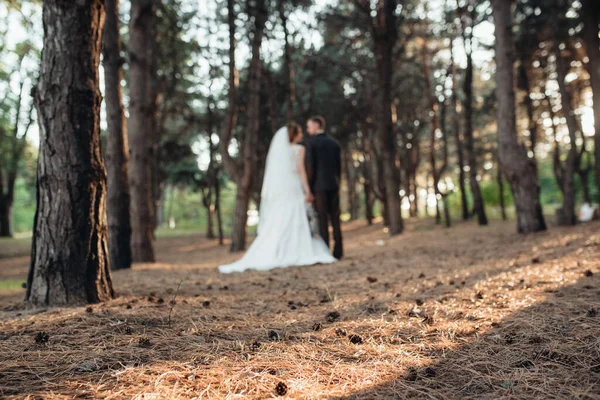 Βόλτα Της Νύφης Και Του Γαμπρού Μέσα Στο Δάσος Του — Φωτογραφία Αρχείου