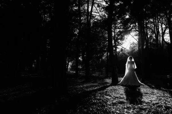 Ragazza Abito Sposa Nella Foresta Autunnale Sullo Sfondo Alberi Selvatici — Foto Stock