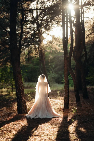 Дівчина Весільній Сукні Осінньому Лісі Тлі Диких Дерев — стокове фото