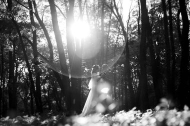 Gelin ve damadın yürüyüşü Ekimde sonbahar ormanında