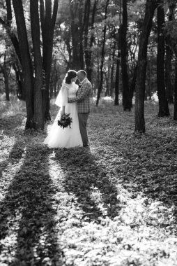 Gelin ve damadın yürüyüşü Ekimde sonbahar ormanında